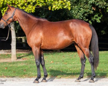 34. Ruby Hill (DE)