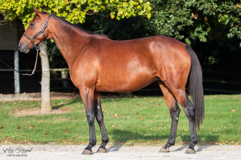 34. Ruby Hill (DE)