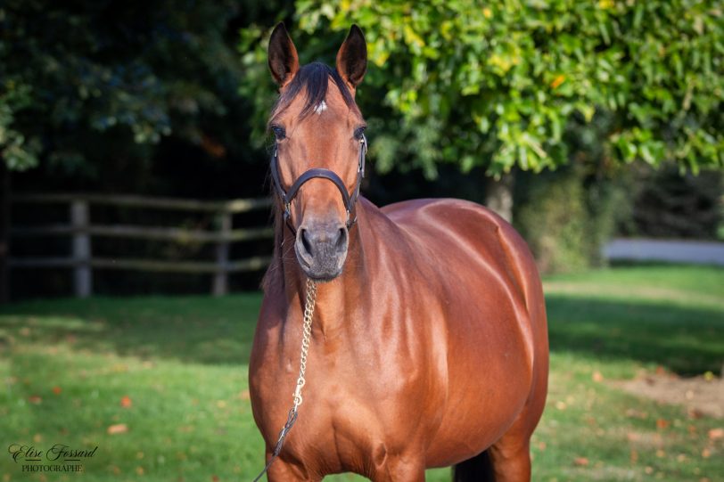 34. Ruby Hill (DE) - Image 2
