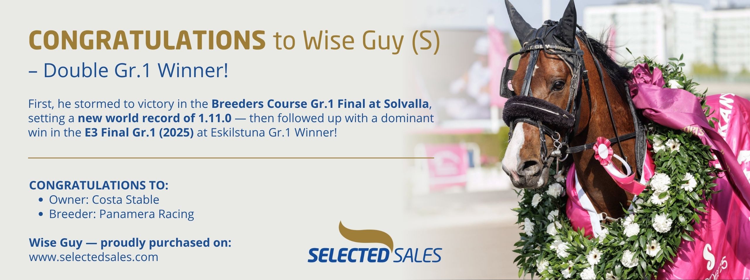 Congrats Wise Guy 2