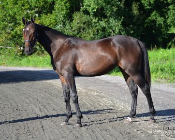 45. Cala Karamel (S)