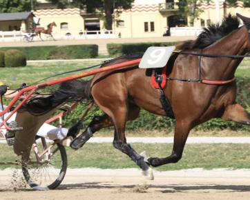 30. Daughter As (IT)