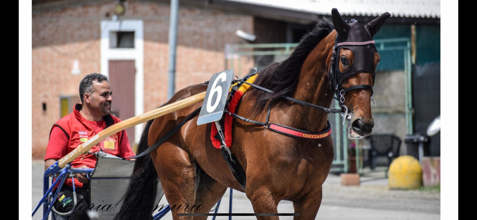 Daughter As (IT) - Image 7