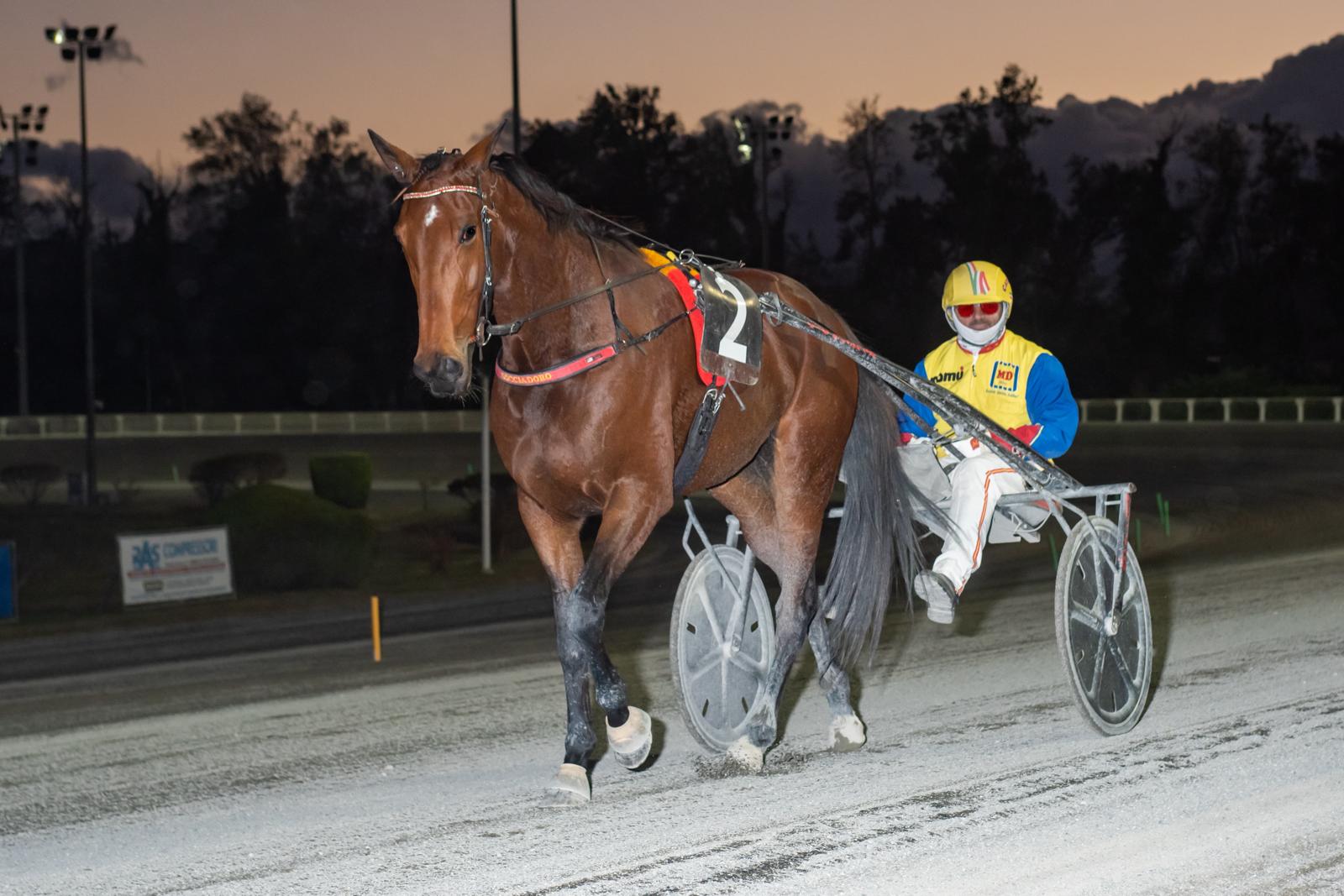 Daughter As (IT) - Image 4