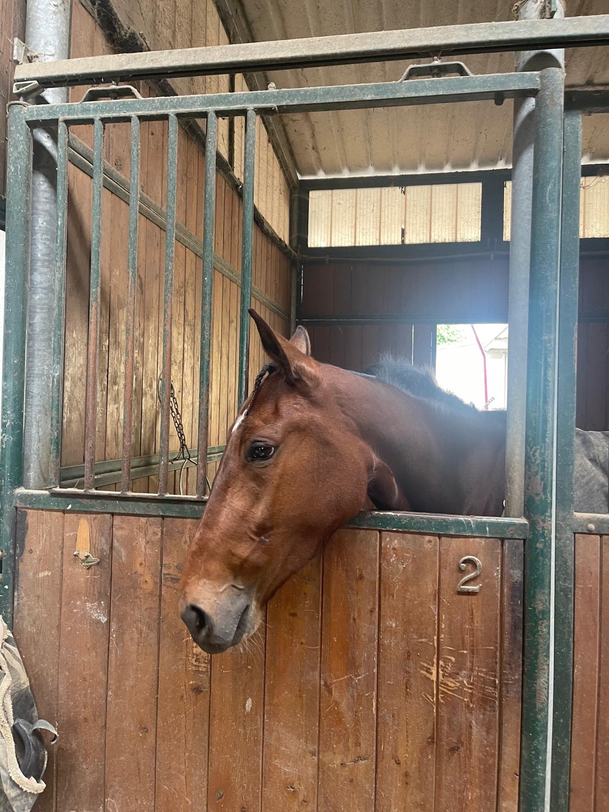 Daughter As (IT) - Image 8