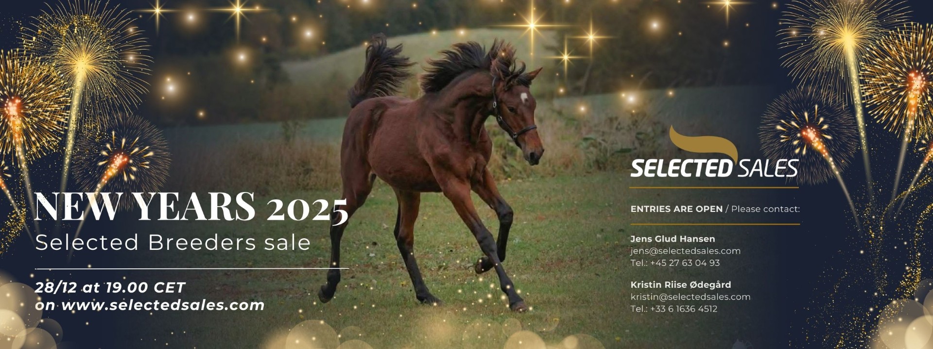 thumbnail_New Years 2025